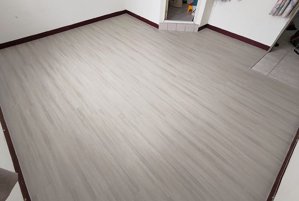 竹南｜開元路  Homebox好博家 竹南店